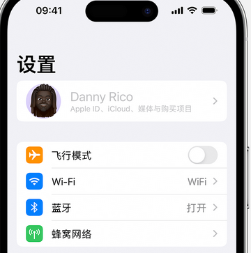 南丹appleID维修服务iPhone设置中Apple ID显示为灰色无法使用 