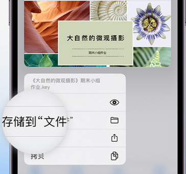 南丹apple维修中心分享iPhone文件应用中存储和找到下载文件