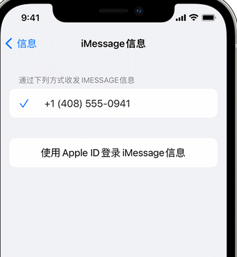 南丹apple维修iPhone上无法正常发送iMessage信息 