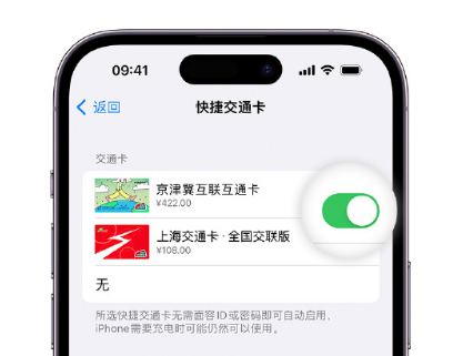 南丹apple维修点分享iPhone上更换Apple Pay快捷交通卡手绘卡面 