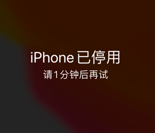 南丹苹果手机维修分享:iPhone 显示“不可用”或“已停用”怎么办？还能保留数据吗？ 