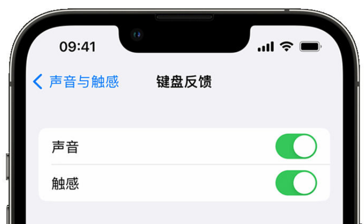南丹苹果手机维修分享iPhone 14触感键盘使用方法 