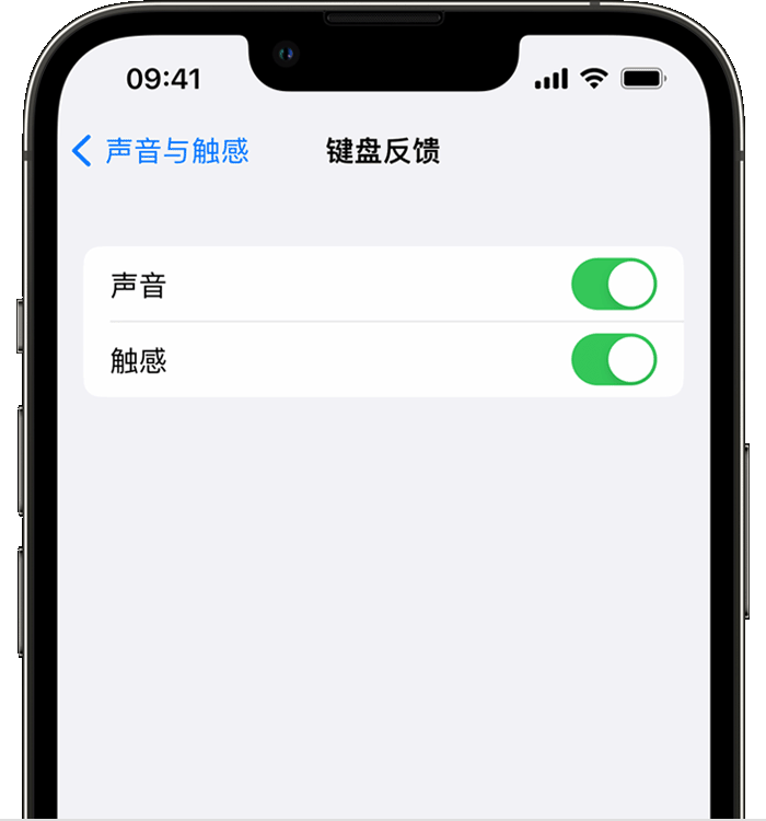 南丹苹果14维修店分享如何在 iPhone 14 机型中使用触感键盘 