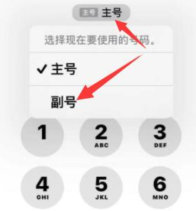 南丹苹果14维修店分享iPhone 14 Pro Max使用副卡打电话的方法 