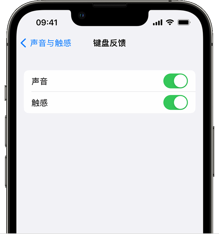南丹苹果14维修分享iPhone 14 系列机型如何开启键盘声音或触感反馈 