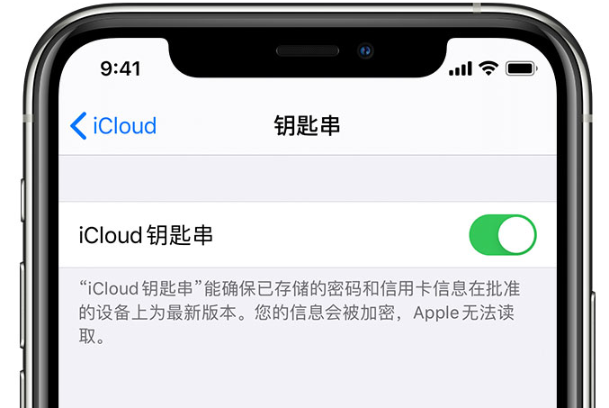 南丹苹果手机维修分享在 iPhone 上开启 iCloud 钥匙串之后会储存哪些信息 