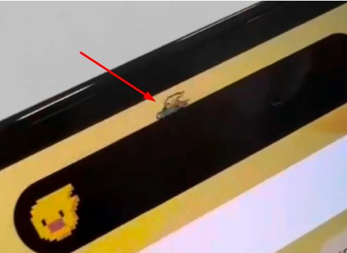 南丹苹果14维修分享iPhone 14 Pro Max灵动岛怎么养宠物 