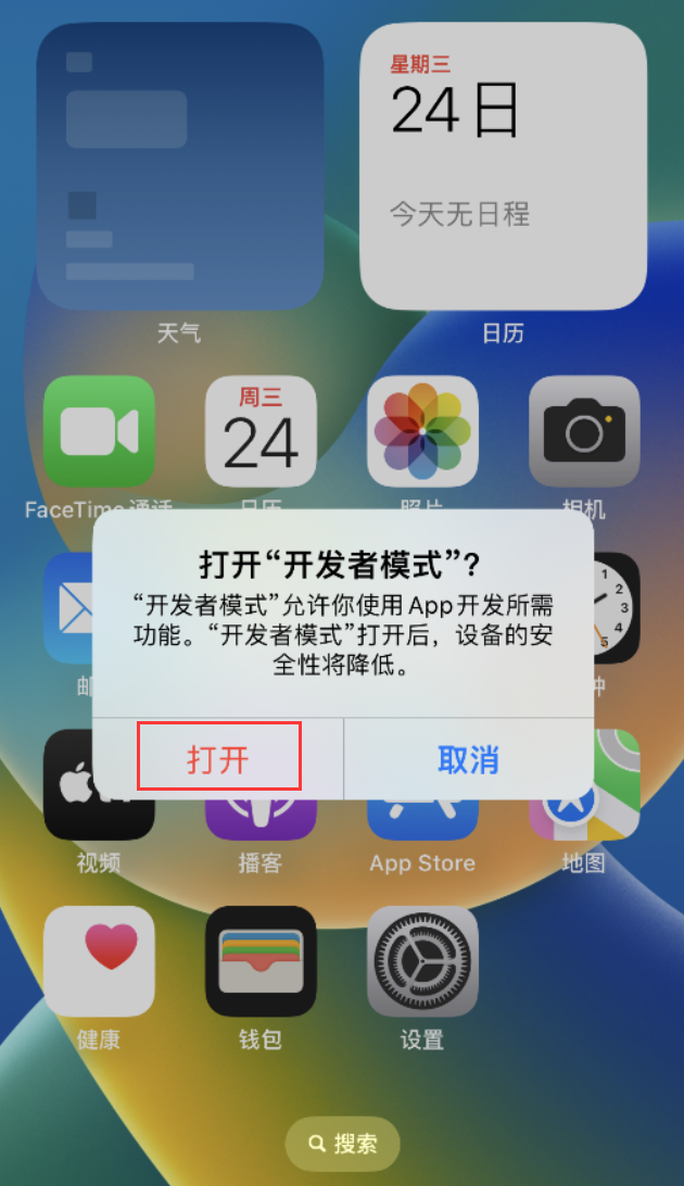 南丹苹果手机维修分享如何打开开发者模式 