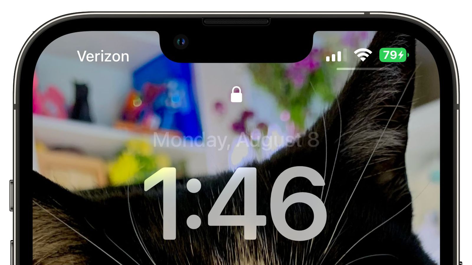 南丹苹果手机维修分享iOS 16 beta 5 支持状态栏显示电池百分比，如何开启？支持哪些机型 