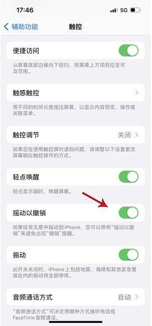 南丹苹果手机维修分享iPhone手机如何设置摇一摇删除文字 