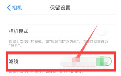 南丹苹果13维修分享iPhone13拍照有绿点是怎么回事 