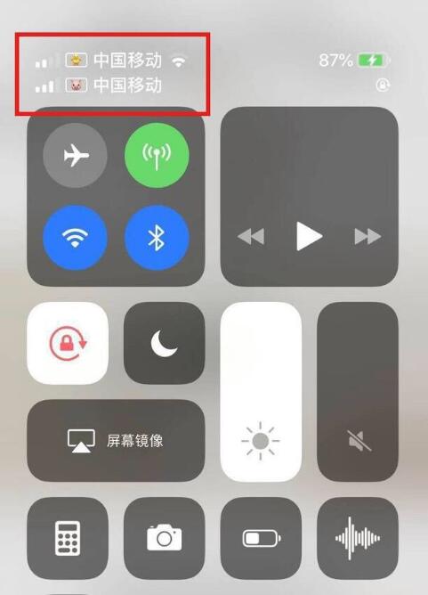 南丹苹果手机维修分享为 iPhone 12 双卡设置标签 